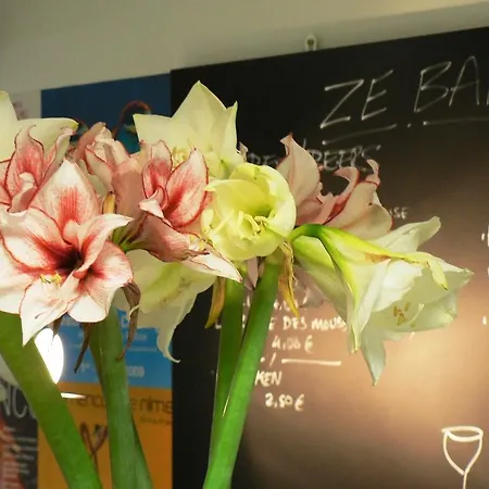 Des Tuileries 3* Nîmes