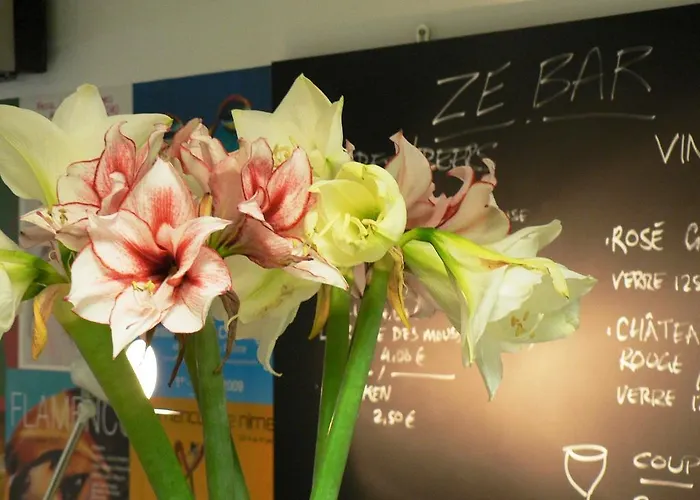 Des Tuileries 3* Nîmes